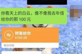 宜阳宜阳的要账公司在催收过程中的策略和技巧有哪些？