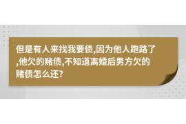 宜阳为什么选择专业追讨公司来处理您的债务纠纷？